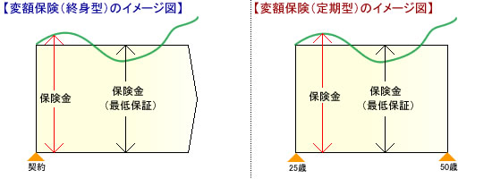 変額保険のイメージ(終身型・定期型)