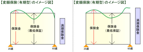 変額保険のイメージ(有期型)