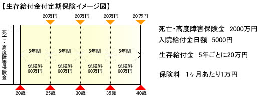 生存給付金付定期保険イメージ図