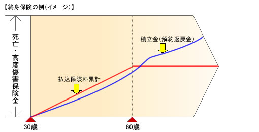 終身保険のイメージ