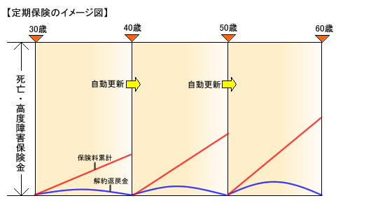 定期保険のイメージ図