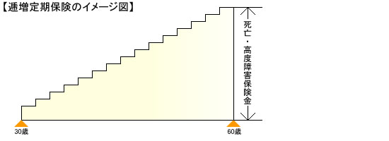 逓増定期保険のイメージ図