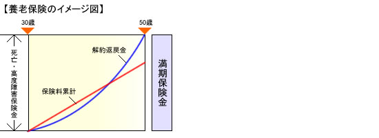 養老保険のイメージ図
