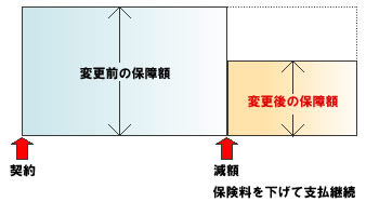 減額の解説図:生命保険 見直し 相談ガイド