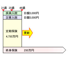 見直し前の保険のかたち(Dさん)