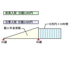 見直し前の保険のかたち(奥さん)