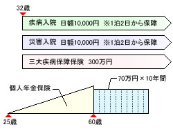 見直し後の保険のかたち(奥さん)