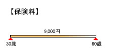 見直し後の保険料(奥さん)
