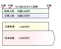 見直し前の保険のかたち(奥さん)