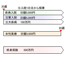 見直し後の保険のかたち(奥さん)