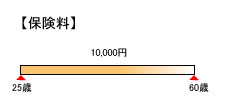 見直し後の保険料(B子さん)