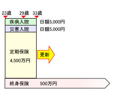 見直し前の生命保険のかたち(ご主人)