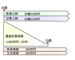 見直し後の生命保険のかたち(ご主人)