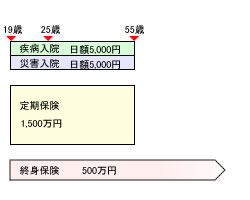 見直し前の生命保険のかたち(B子さん)