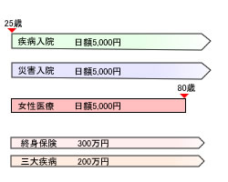 見直し後の生命保険のかたち(B子さん)