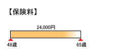 見直し後の保険料(奥さん)