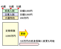 見直し前の保険のかたち(Kさん)