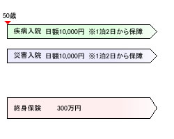 見直し後の保険のかたち(Kさん)