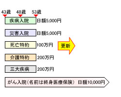 見直し前の保険のかたち(Kさん)