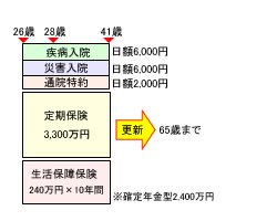 見直し前の保険のかたち(Cさん)
