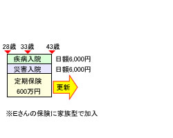 見直し前の保険のかたち(奥さん)