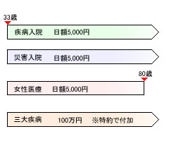 見直し後の保険のかたち(奥さん)