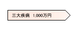 三大疾病保障保険(終身100万円)