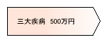 三大疾病保障保険(500万円)